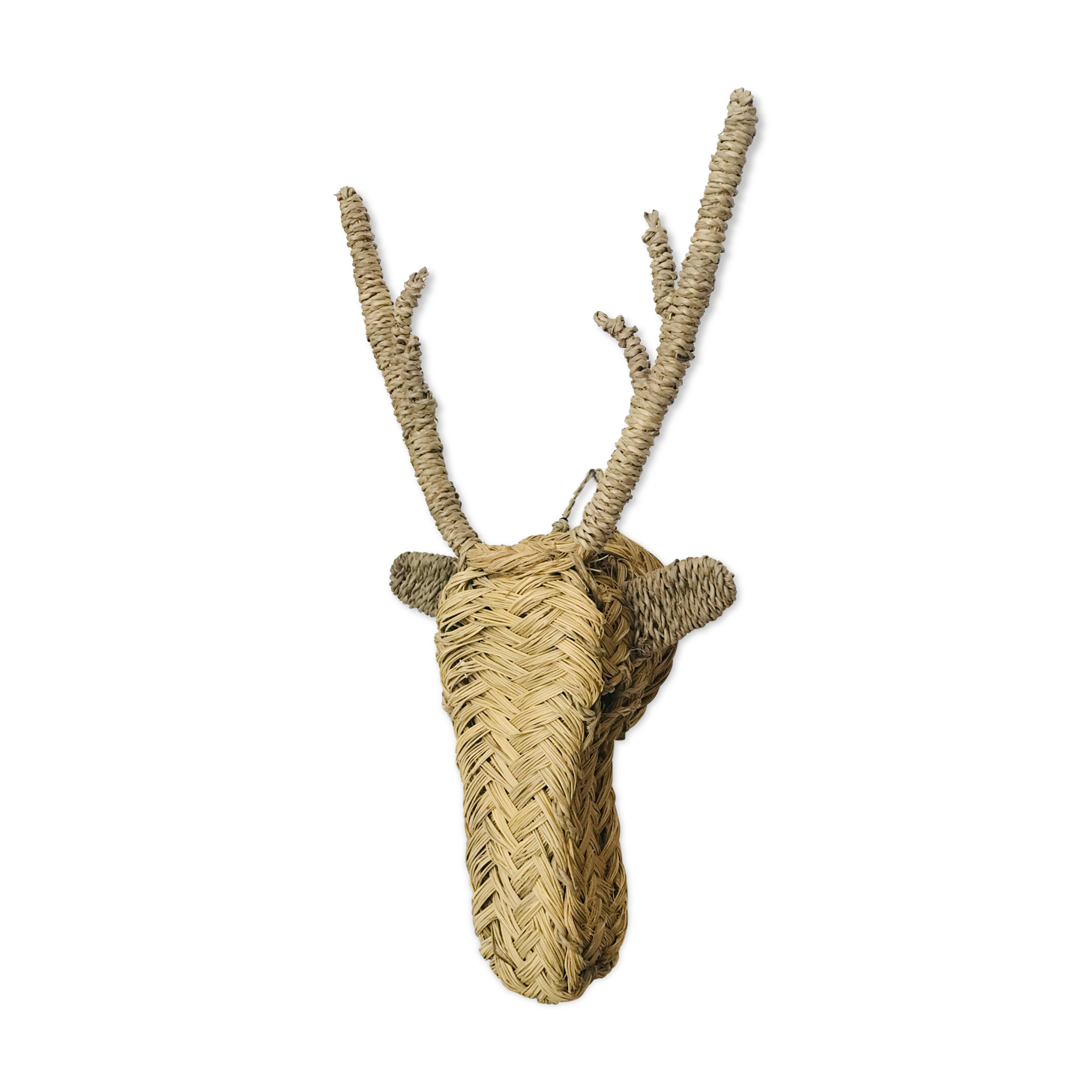 Reindeer head trophy in braided alfa