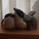 Couple of birds - Fraureuth porcelain Carl Nacke
