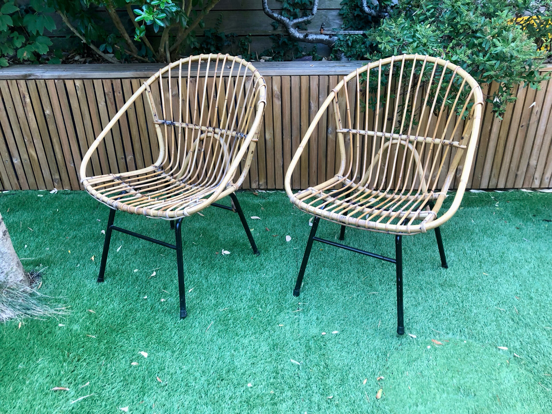 Adult rattan armchairs