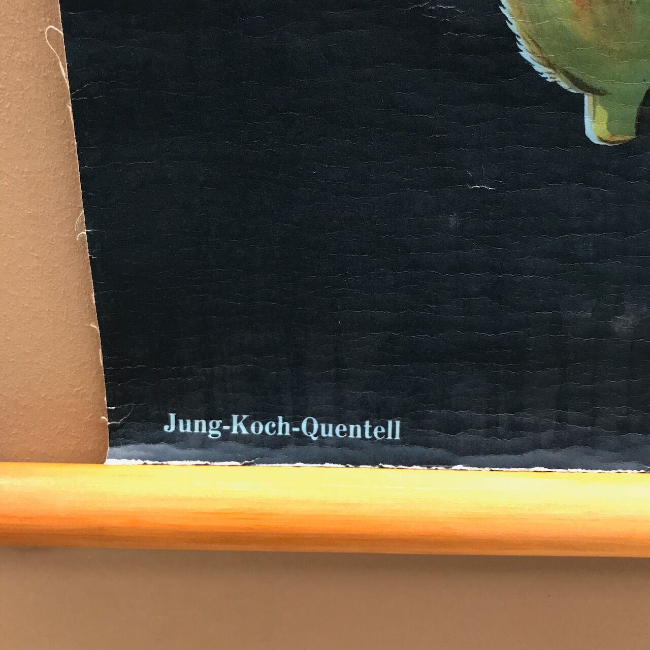 Saule d’affiche de cru en 1961