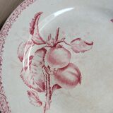 Flat plate Iron Earth