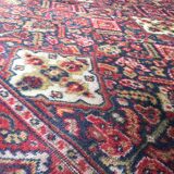 Sedan dot carpet 200x295cm