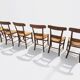 6 chaises en merisier