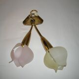 Double flower wall light from the 1950s.