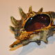 Ceramic shell ashtray