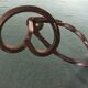 Vintage wrought iron coat/patère with 5 hooks