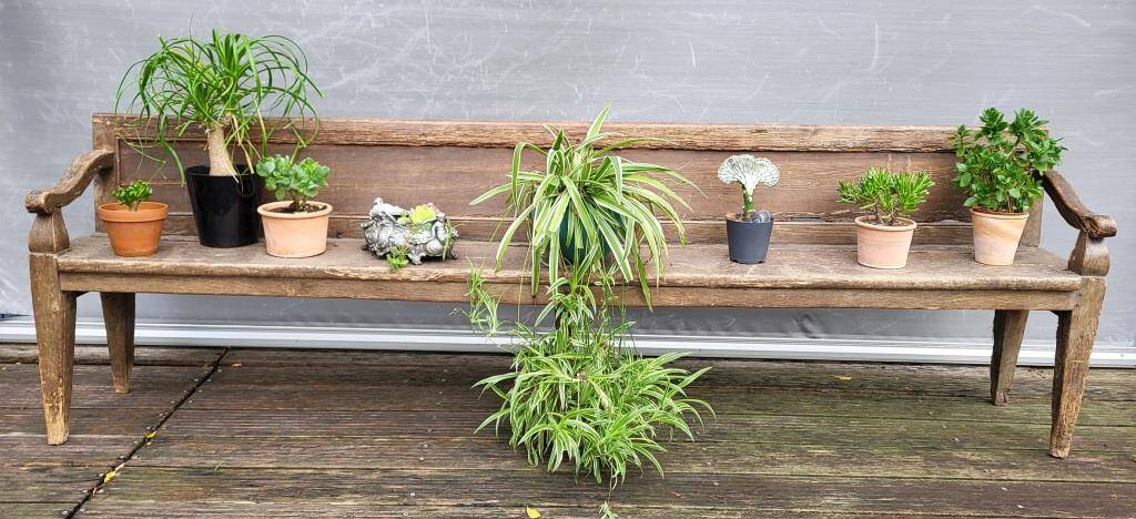 19th-century church pew, 245 cm long