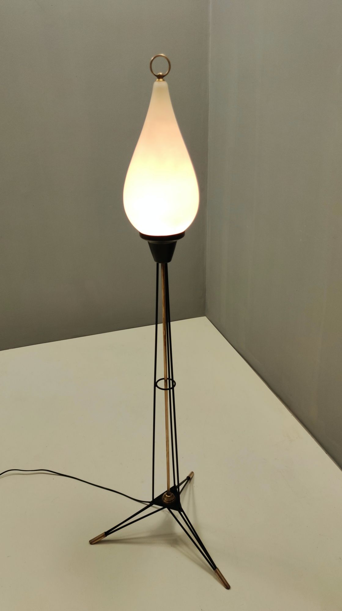 Midcentury Opaline Glass and Iron Floor Lamp by Stilnovo, Italy