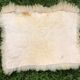 Sheepskins