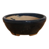 Bonsai pot