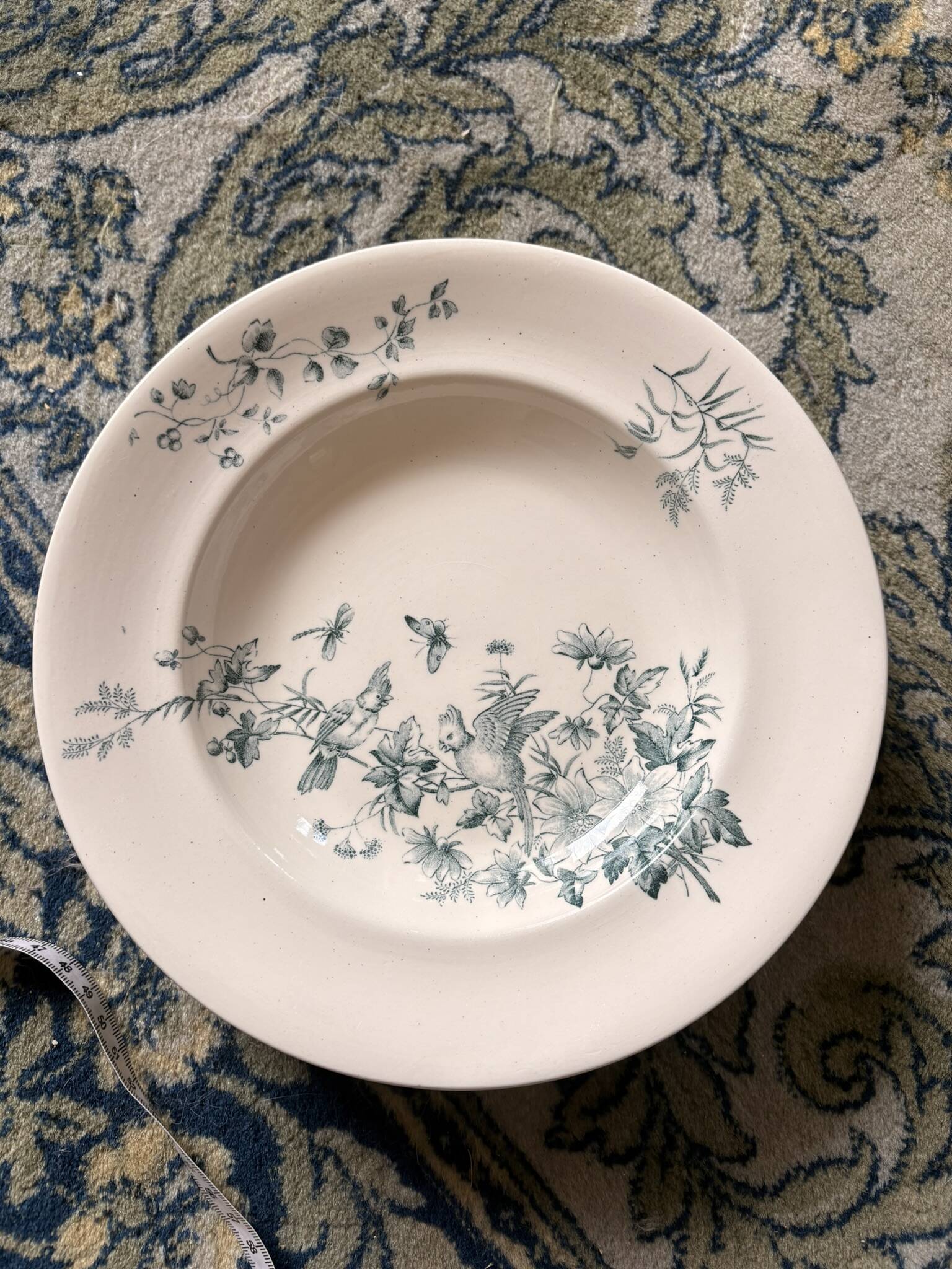Lot 6 Plate Plates Faience Longwy Model Mignon