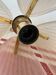 Frosted glass pendant lamp and shell brass