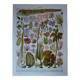 Original lithograph on algae