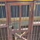 Birdcage