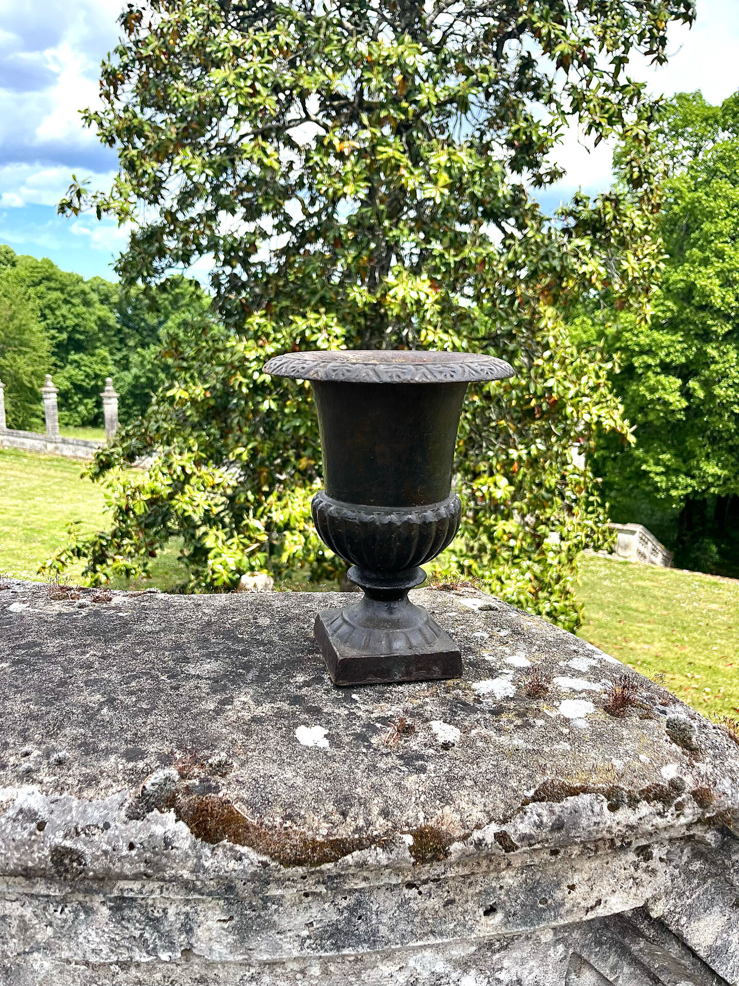 Iron garden urn planter, Antique French cast iron classical campana va