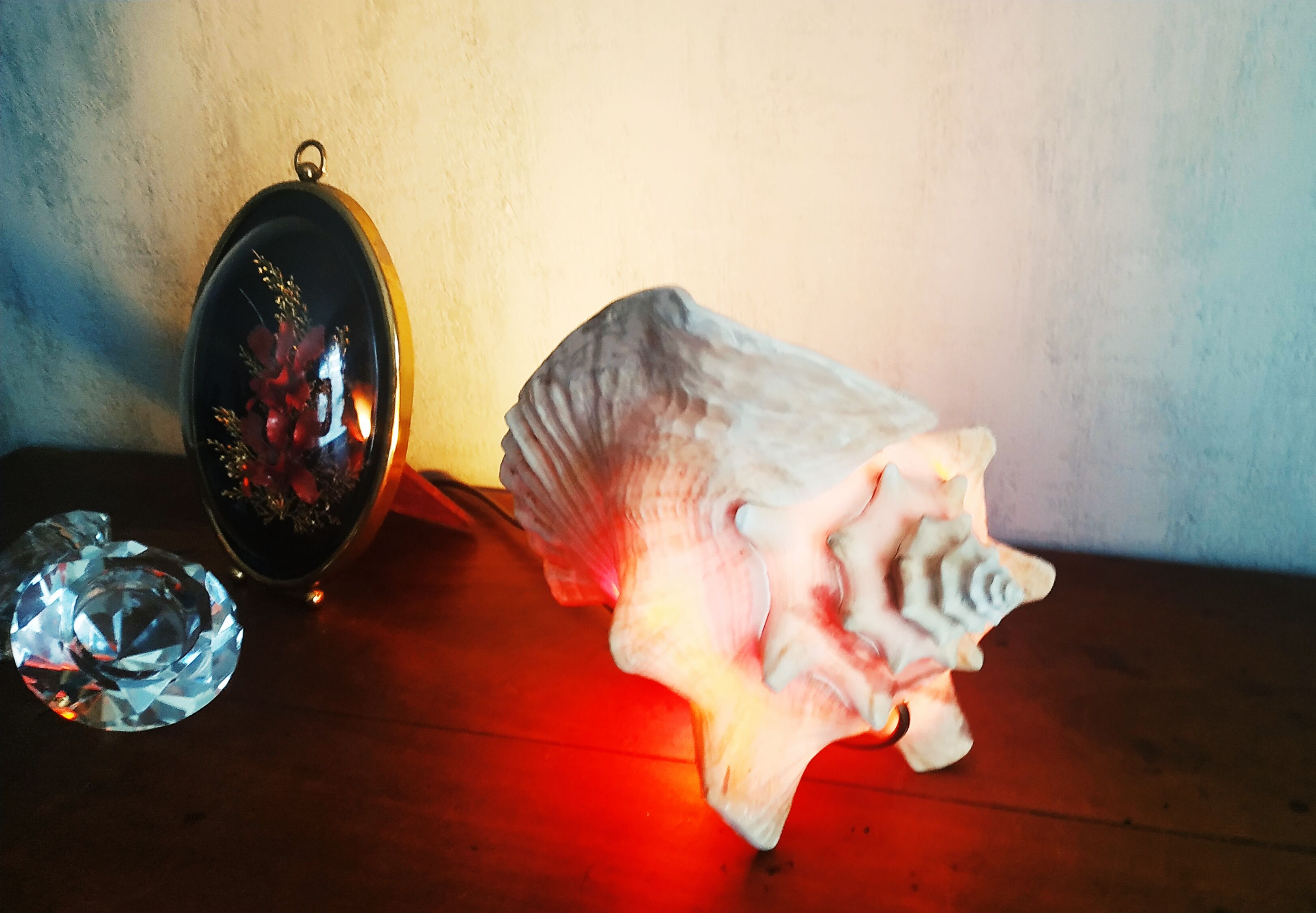 Natural seashell lamp
