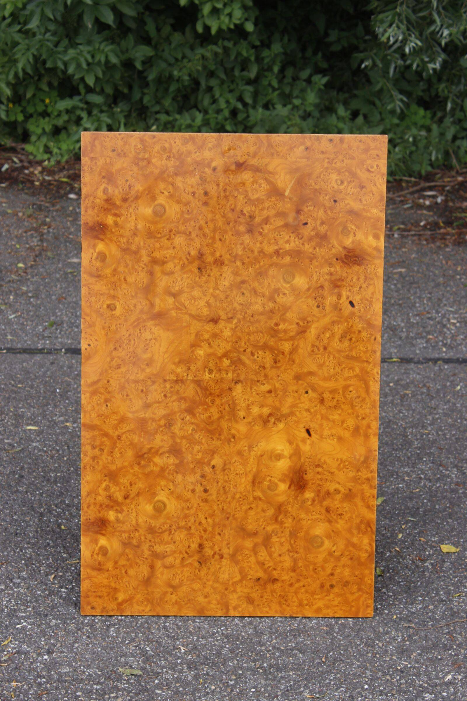 50s modernist coffee table in elm burl veneer