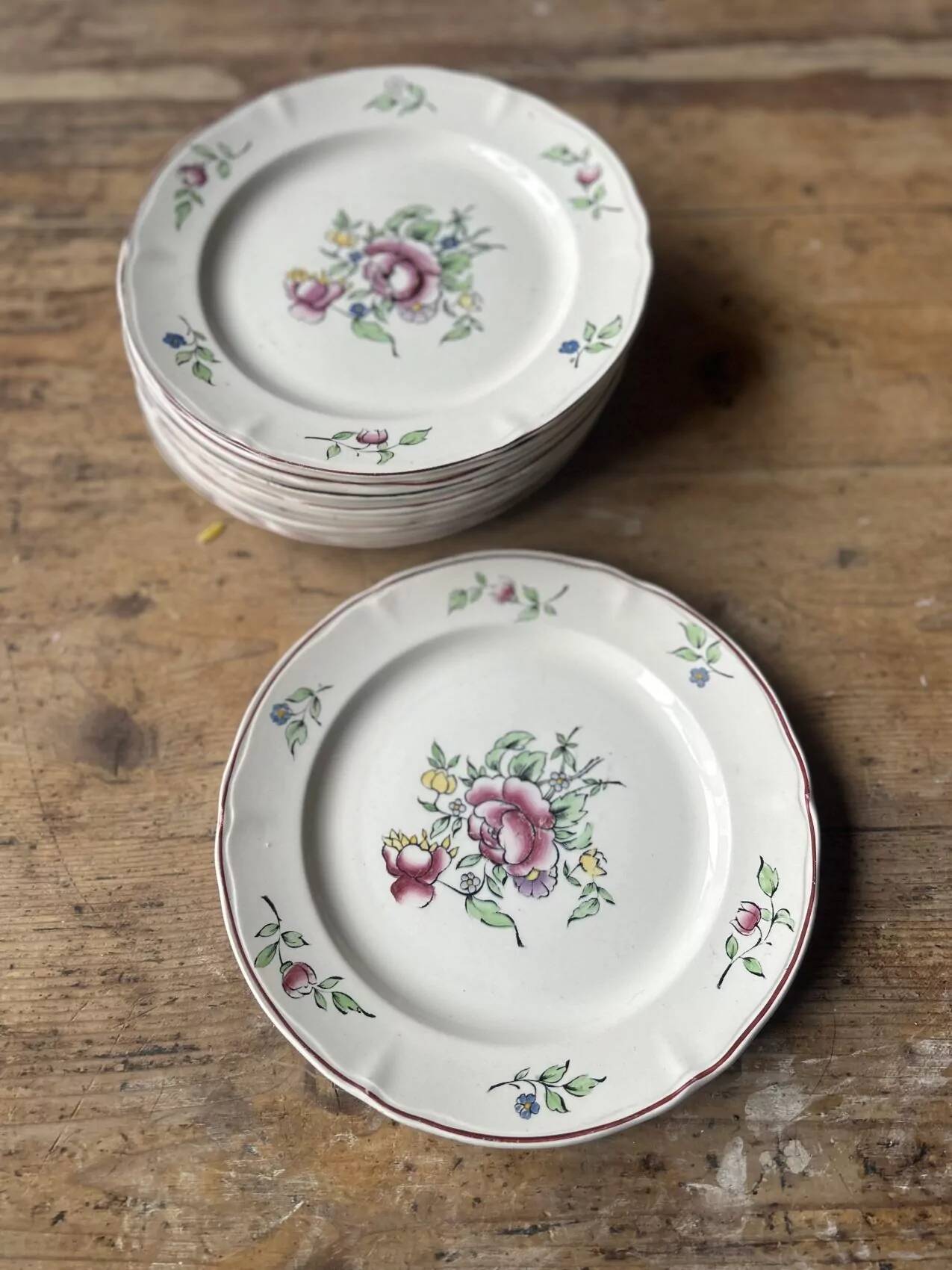 Set of 10 flat plates Villeroy & Boch – bucolic design – 24.5 cm