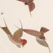 Maurice Jallot table basse chêne peint à décors d’oiseaux 1930