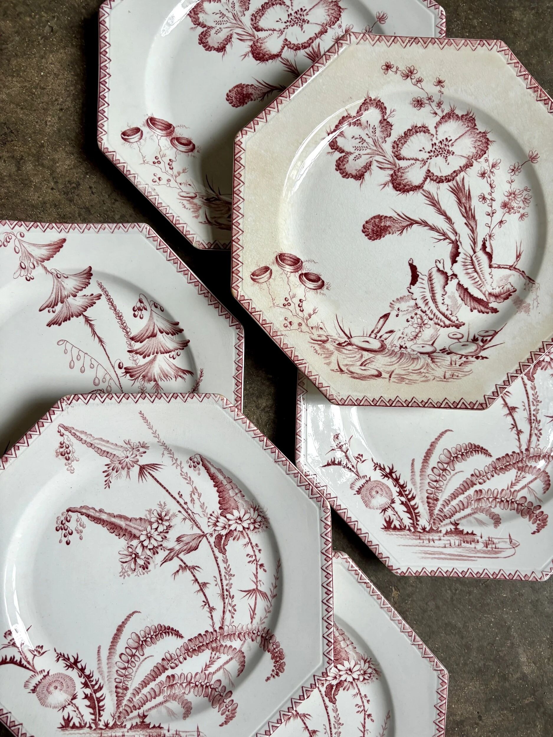 6 flat plates in ironstone Clairefontaine, "Indiana" service.