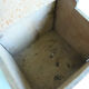 Wooden salt box