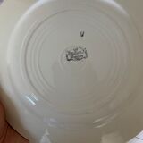 Set of 20 Salins earthenware plates