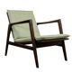 Vintage Armchair from Swarzędzkie Fabryki Mebli, 1960s