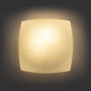 Rounded Square Flush Mount by Osvetlovaci Sklo Valasske Mezirici