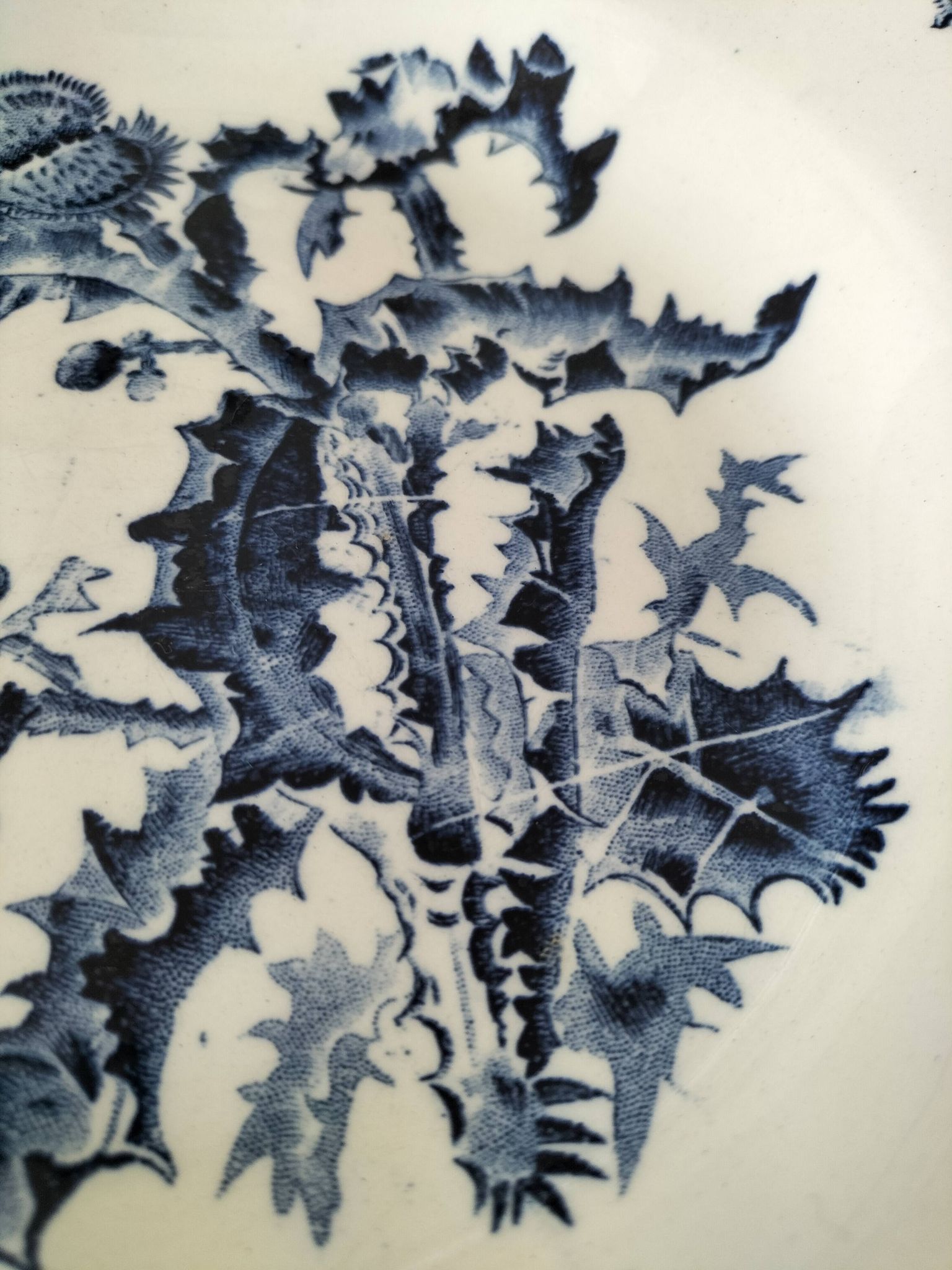 Trio of Gien soup plates – Chardon model in navy blue