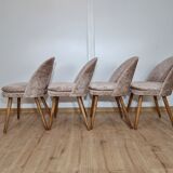 Antonin Suman dining chairs