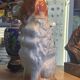 Set of 2 Dog Statues – Staffordshire – Ornament – Vintage Pair