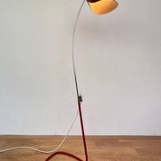 Mid century organic Design Floor Lamp by Josef Hůrka, 1960s / Napako