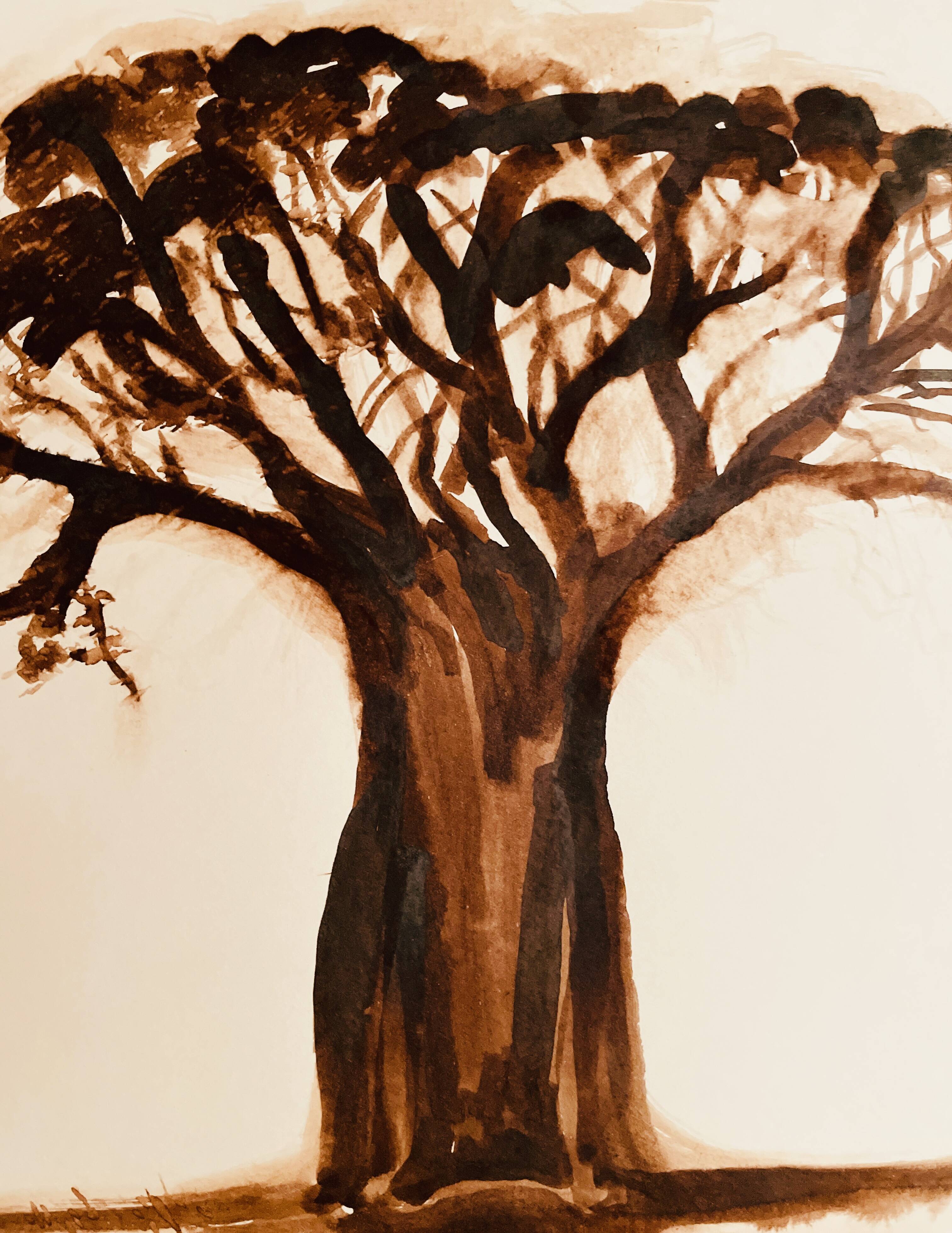 Signed monochrome watercolour painting of a baobab tree, South Africa.