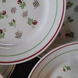 11 dinner plates decorated with stylized roses. 1950s. 11 dinner plates
