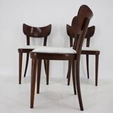 1950s Set of Three Restored Beech Dining Chairs, Czechoslovakia