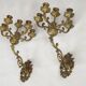 Pair Early 20th Century Rococo Revival Brass 5 Light Candle Wall Sconces