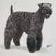 Old photograph, silver print, canine portrait signed "Dim" Henri Dimont 32 x 25 cm