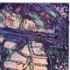Lithograph by Joelle SERVE "Amalgam" signed