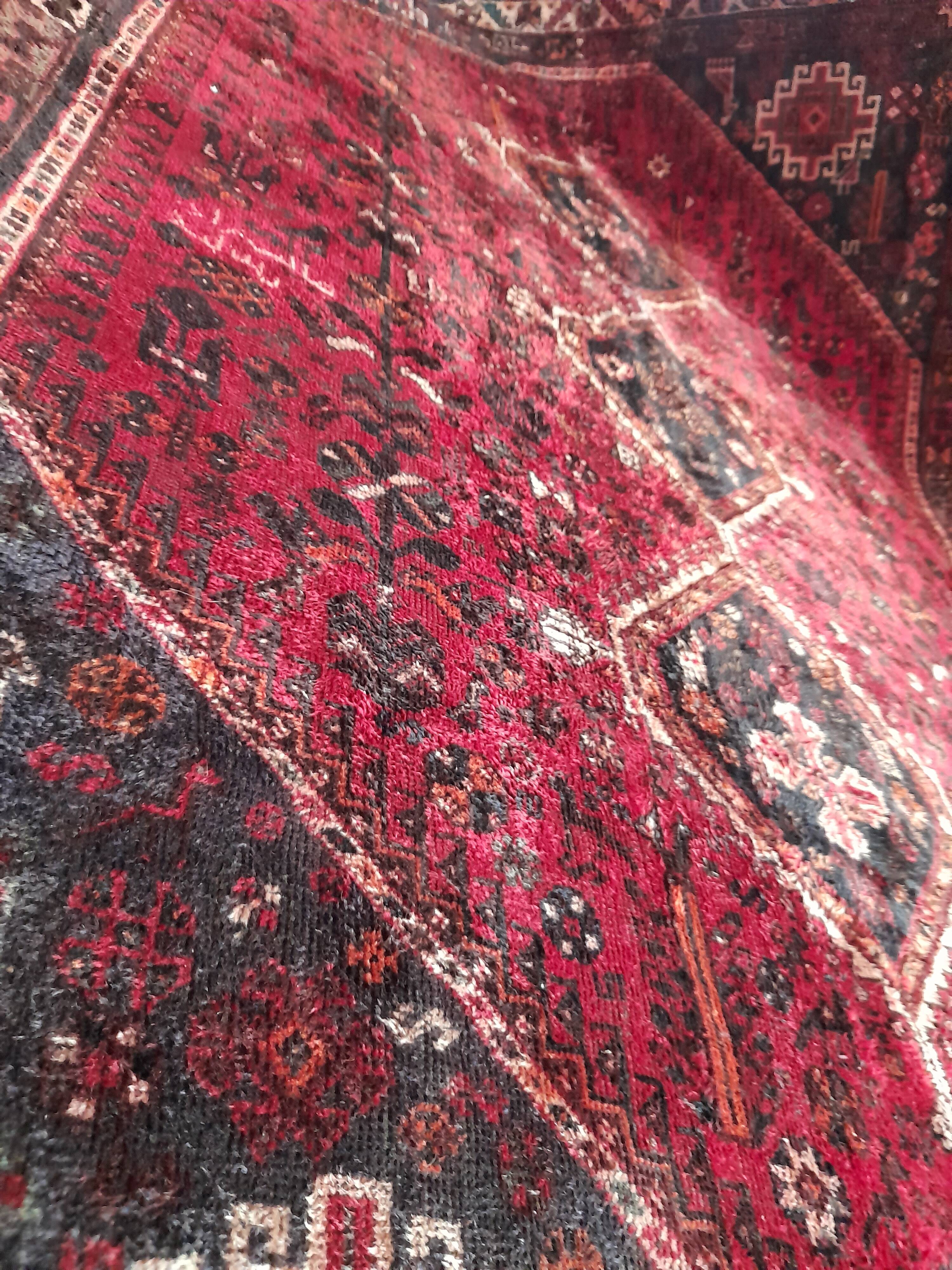 Shiraz carpet 295x215cm