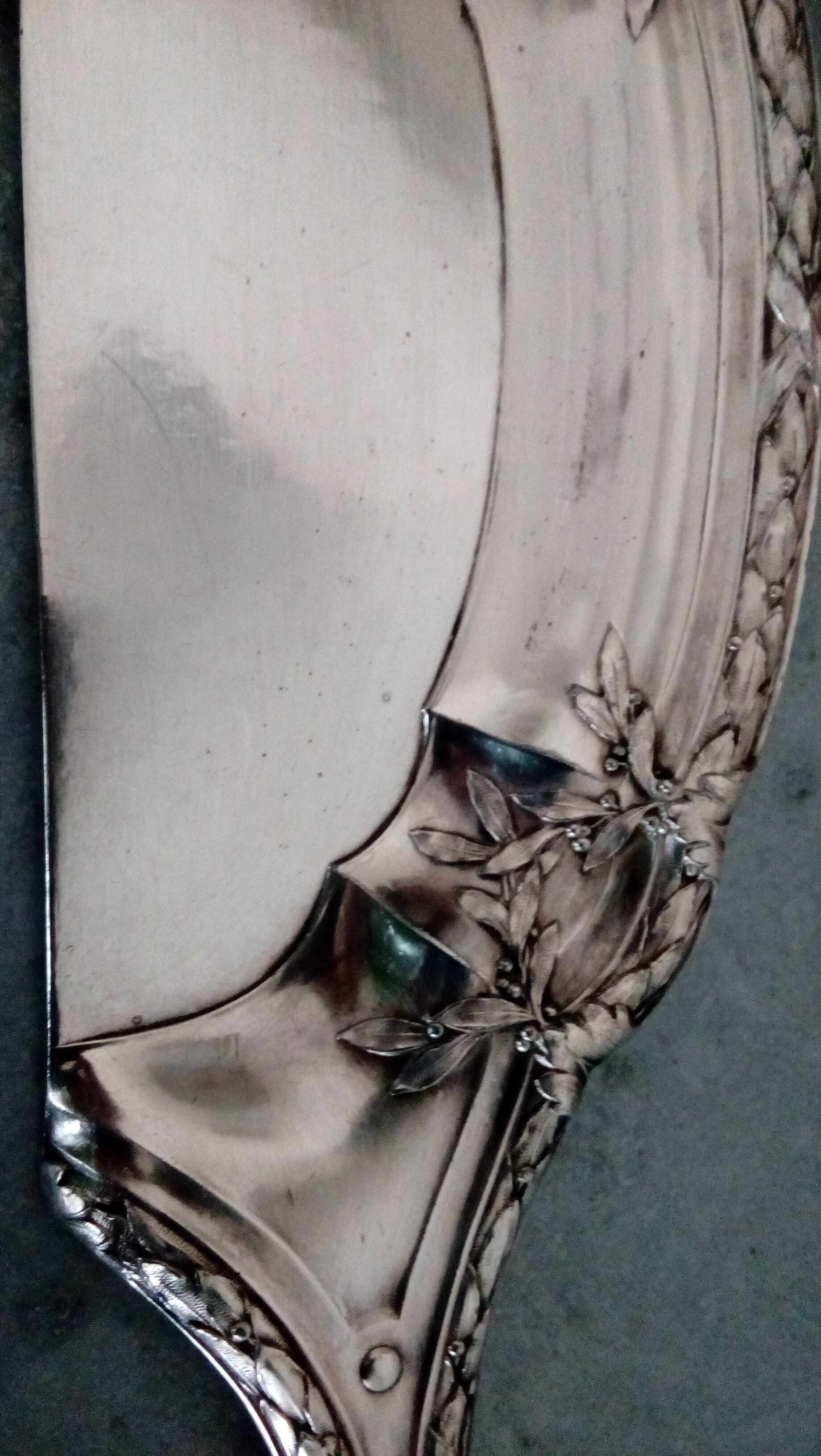 Pick-crumbs silver metal shovel