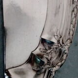 Pick-crumbs silver metal shovel