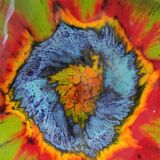 Black and Green Ceramic Vide Poche by Giovanni Poggi for San Giorgio