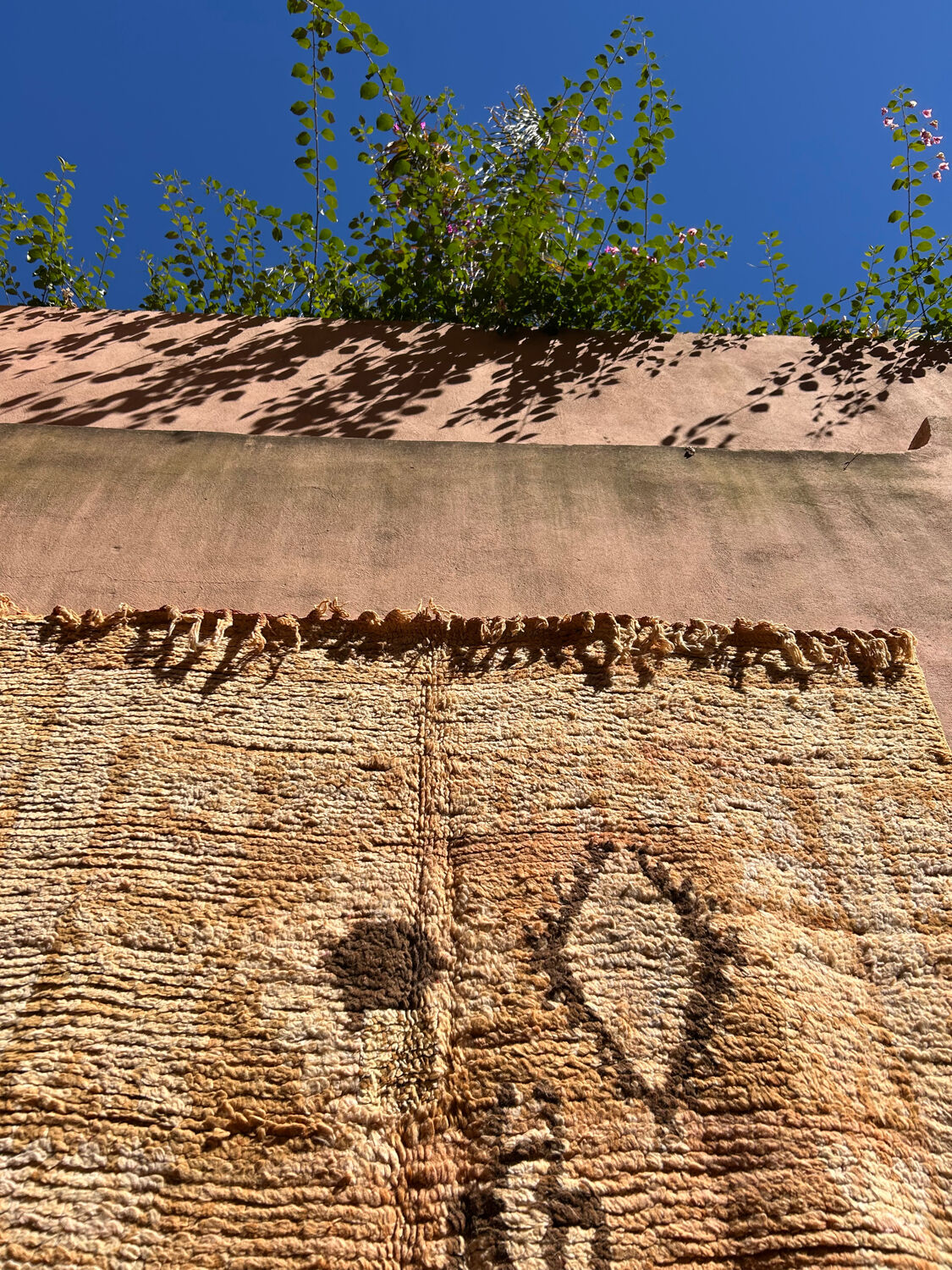 Saffron rug 360x177cm