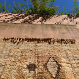 Saffron rug 360x177cm