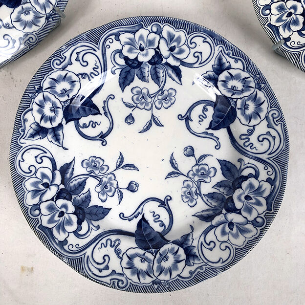 Creil & Montereau nineteenth series, Flora model. Ten flat plates