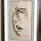 Pair of zoological engravings of birds by Fournier and Perrot, 19th century.