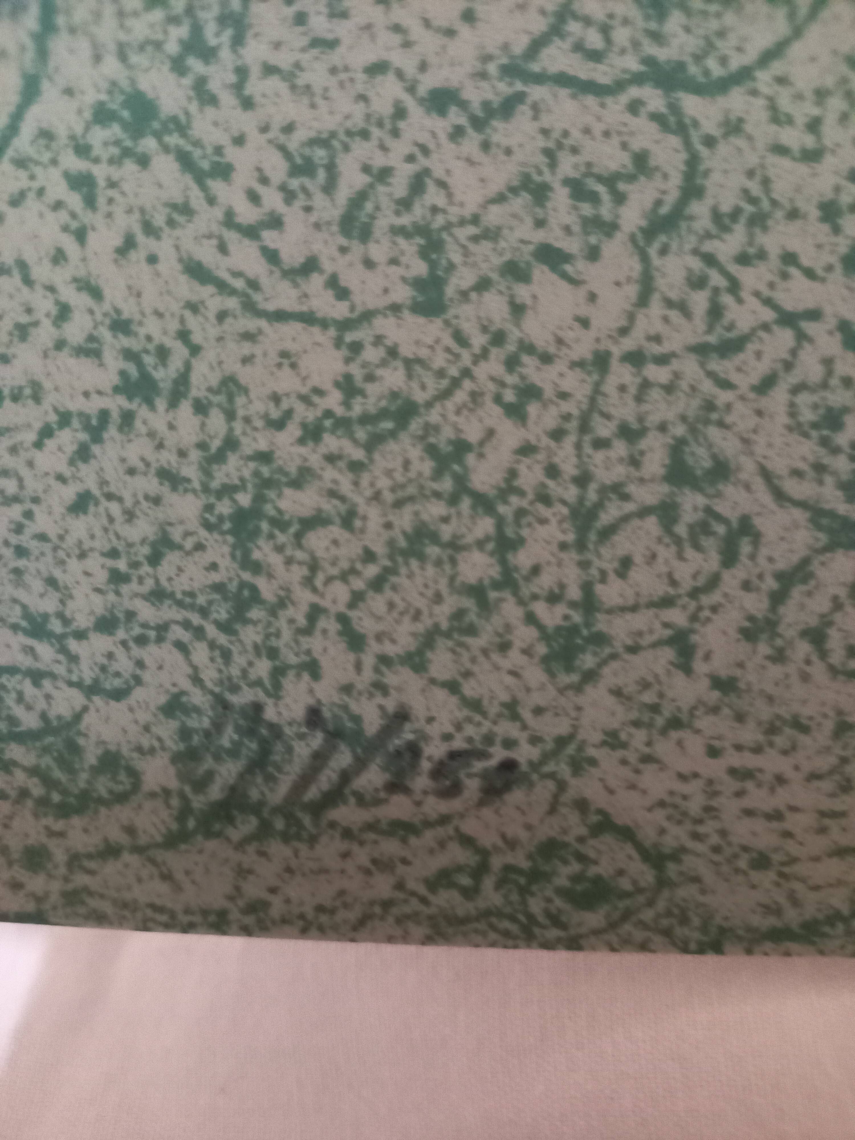 Lithograph by César Doméla (1900-1992), Composition, 1977, Abstract Art