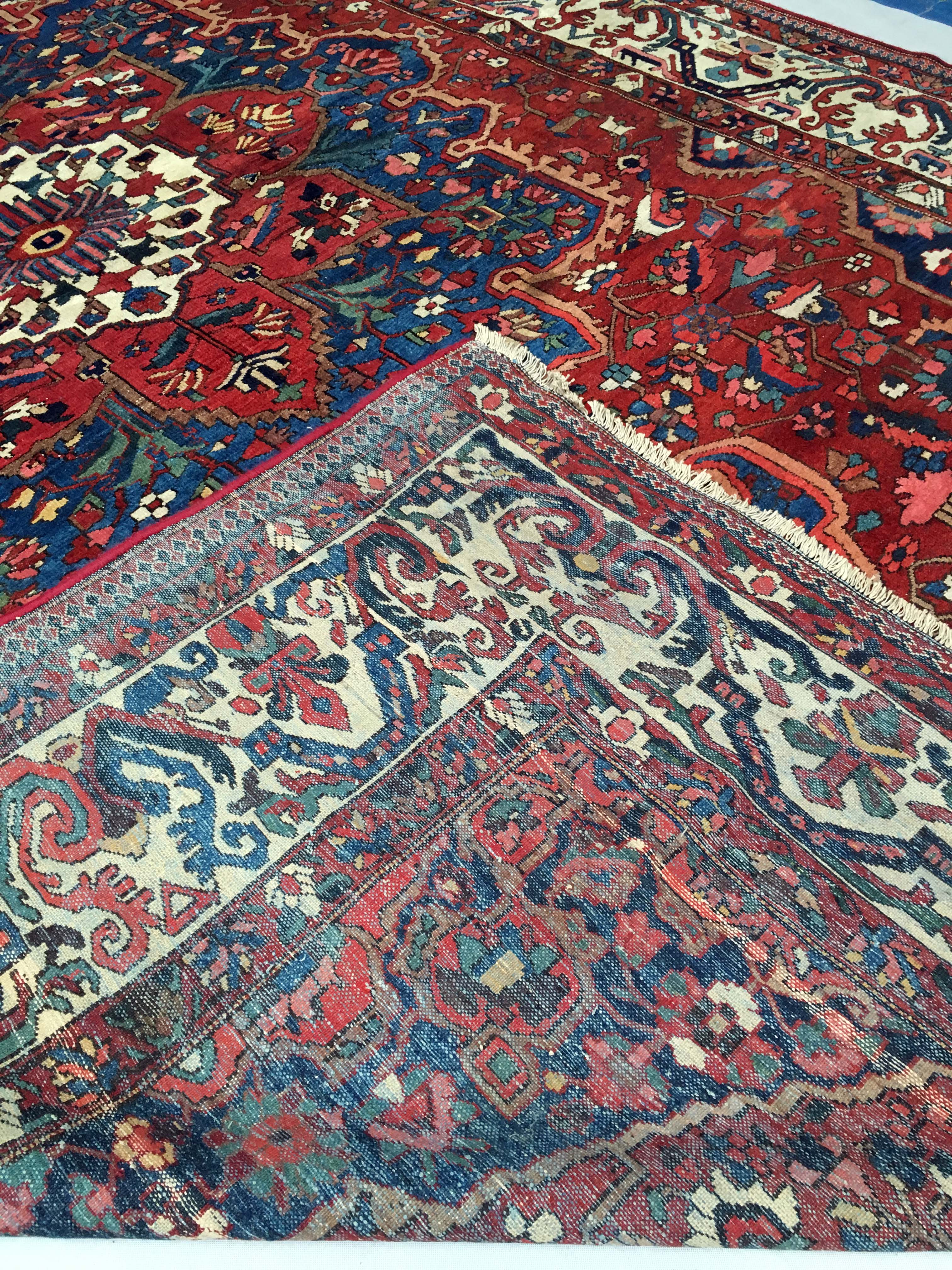 Oriental rug: former bakhtiari, 490 x 325