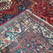 Oriental rug: former bakhtiari, 490 x 325