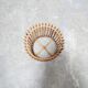 Vintage rattan planter